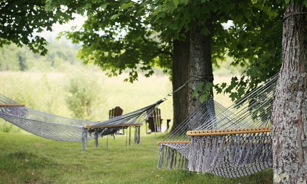 Alternativní spánkové cykly